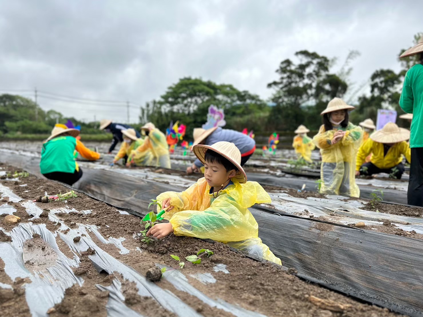 楊梅農會、中華汽車幼兒園推動食農教育，打造仙草體驗課程